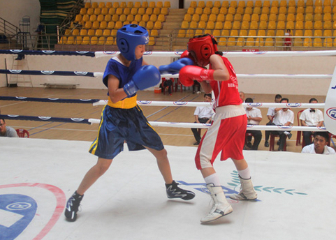 Hà Nội nhất toàn đoàn tại giải boxing thiếu niên, trẻ toàn quốc năm 2015